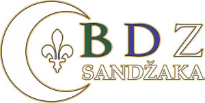 bdz-logo-300x151