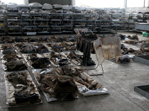 Kako je otkrivena Tomašica: Srbin koji je otkrio grobnicu traž