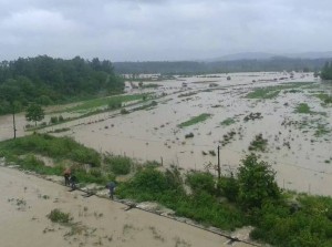 poplave_bih9